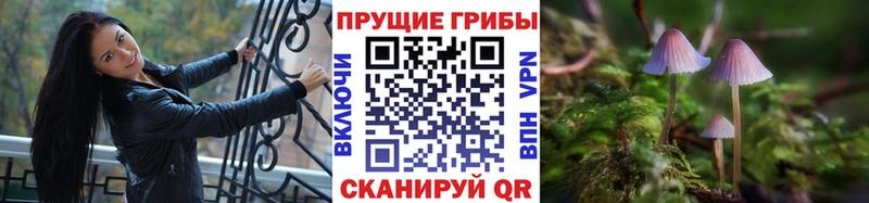 Псилоцибиновые грибы Magic Shrooms  Купить закладки  Демидов 
